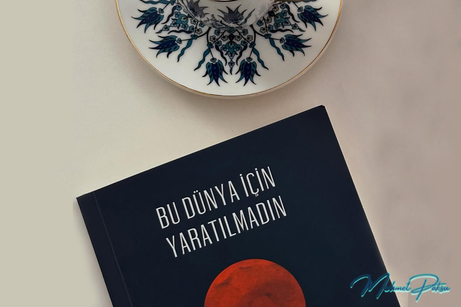 Mehmet Paksu - BU DÜNYA İÇİN YARATILMADIN